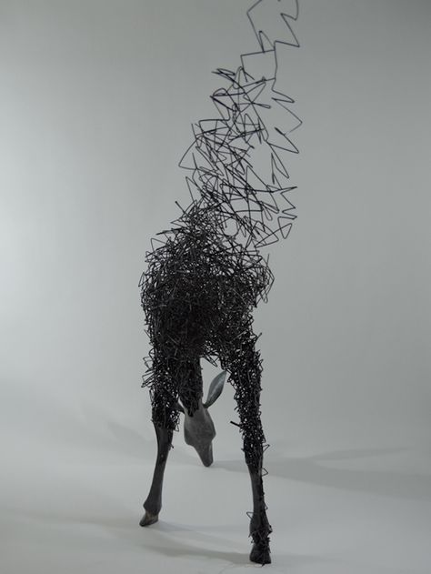 Animal Sculptures by Tomohiro Inaba6 Tomohiro Inaba, Sculpture Gallery, Visual Illusion, Modern Metropolis, Plastic Art, Surrealism Photography, Steel Sculpture, Soul Art, Wire Sculpture