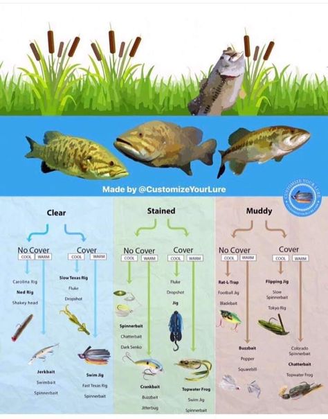 Fishing For Beginners Tips, Best Bass Lures, Fishing Tricks, Fish Chart, Crappie Fishing Tips, Pesca In Mare, Largemouth Bass Fishing, Fishing Basics, Melton Mowbray