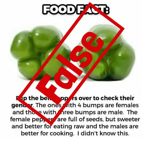 Bell Pepper Gender, Male Vs Female, The Power Of Belief, Green Bell Pepper, Green Bell Peppers, Food Facts, Eating Raw, Bell Peppers, Bell Pepper