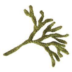 knitted channelled wrack seaweed Seaweed Crochet Free Pattern, Seaweed Textiles, Crochet Seaweed Free Pattern, Seaweed Crochet, Crochet Seaweed, Ocean Blanket, Crochet Coral Reef, Seaweed Pattern, Crochet Coral