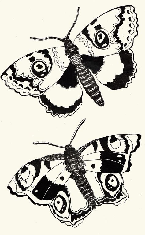 Rosie Mcguinness, Illustration Black And White, Vintage Poster Design, Ipad Drawings, Butterfly Illustration, Minimalist Tattoos, Black And White Illustration, Ink Illustrations, Tattoo Flash