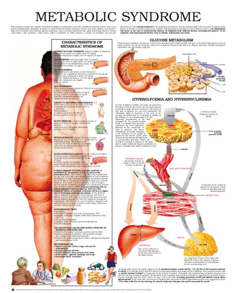 Metabolic Syndrome Nursing Tips, Endocrine System, Nursing Notes, Medical Knowledge, Winter Recipes, Medical Information, The Human Body, Health Info, Health Facts