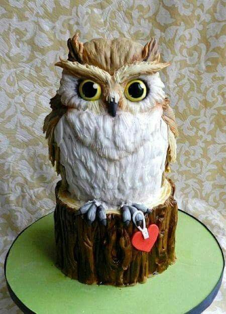 Speciality Cakes, Cake Fails, Owl Cakes, Baking Projects, Cake Wrecks, Owl Cake, Sculpted Cakes, Bird Cakes, Owl Party