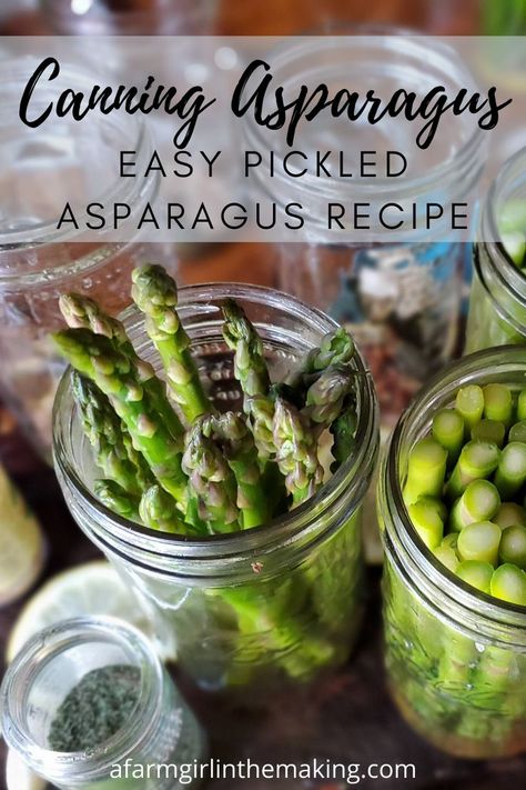 Pickled Asparagus Recipe, Canning Asparagus, Pickled Asparagus, Pressure Canning Recipes, Canning Pickles, Canning Recipe, Appetizer Trays, Pickled Veggies, Vegan Sides