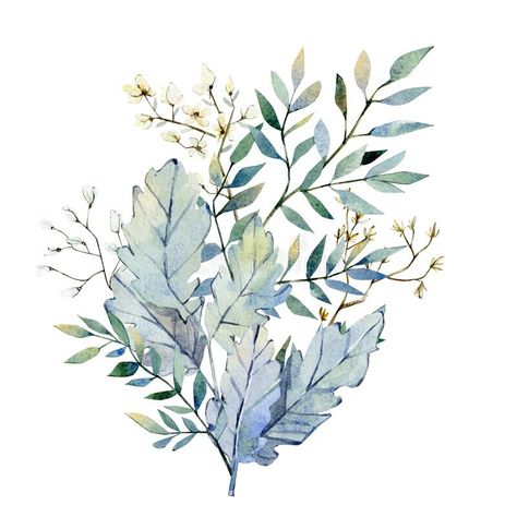 Watercolor greenery bouquet lunaria branches and twigs with flowers. Botanical floral, winter bouquet, Christmas floral for design. Logo, web pages, wedding royalty free illustration Christmas Floral Designs, Bouquet Christmas, Greenery Bouquet, Winter Bouquet, Watercolor Greenery, Winter Watercolor, Winter Illustration, Flowers Botanical, Flower Sketches