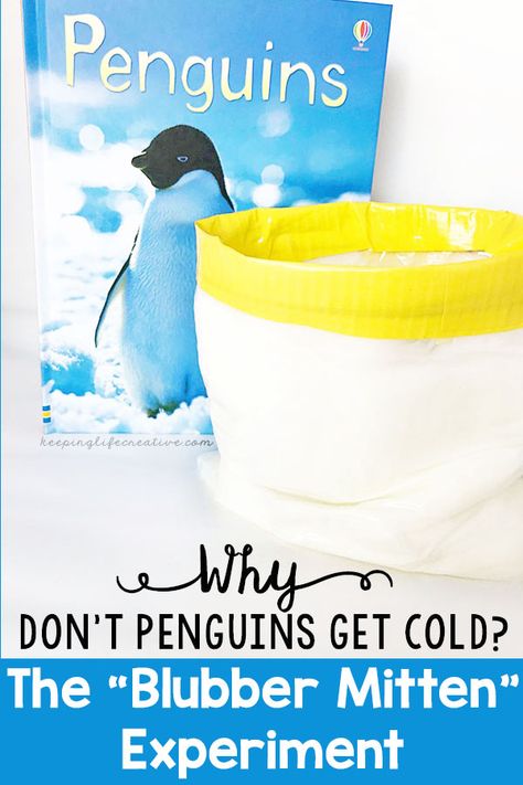 Penguin Experiment, Stem Activities Kindergarten, Penguin Activities, Penguin Day, Jonah And The Whale, Classroom Idea, Homeschool Projects, Polar Animals, Language Arts Elementary