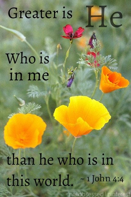 Greater Is He, A Bible Verse, A Course In Miracles, John 4, Favorite Bible Verses, Faith Inspiration, Love The Lord, Jesus Is Lord, 1 John