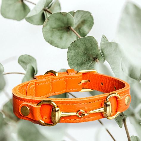 Orange Dog Collar, Handmade Leather Dog Collar, Orange Dog, Leather Dog Collar, Martingale Collar, Princess Grace, Leather Collar, Dog Collars, Bright Orange