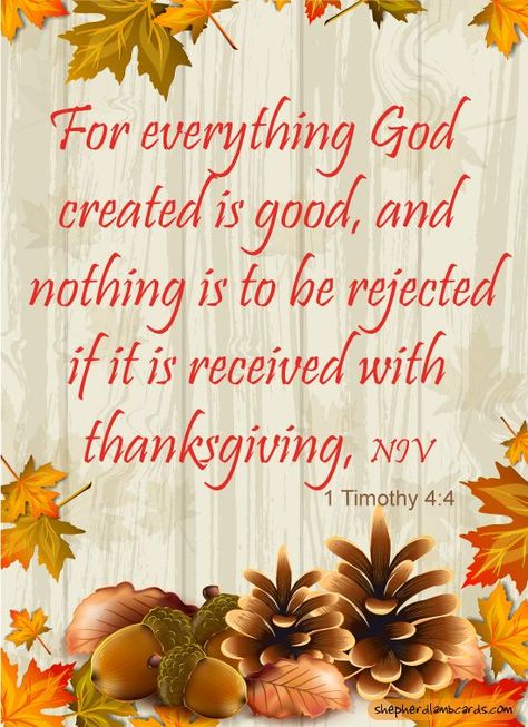 Happy Thanksgiving Blessings, Thanksgiving Blessing, Holy Orders, November Quotes, Thanksgiving Prayer, Thanksgiving Blessings, Catholic Bible, Thankful Heart, Thanksgiving Greetings