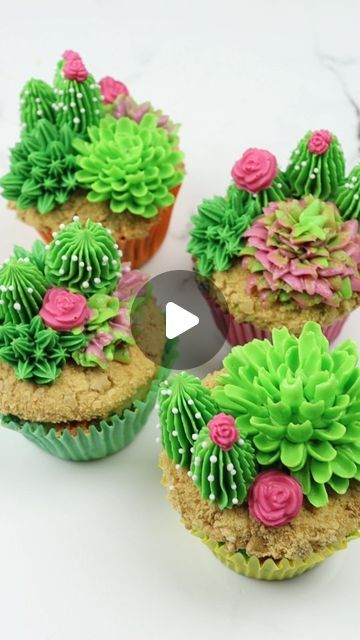 Liz Nicolaou on Instagram: "Succulent Cupcakes 🌵🌺  Hybrid buttercream in my recipe highlights (first recipe) 😊  @wiltoncakes piping tips used: 81 18 68 8B  Tools used linked to my amazon storefront (link in bio)   White pixie pearls from @sweet.stamp - use code LOVE10 for 10% off at sweetstamp.online   #cupcakes #cupcakedecorating #succulents" Cake With Succulents, Cactus Cupcakes, Succulent Cupcakes, Piping Tips, Amazon Storefront, Cake Baking, Cupcakes Decoration, Meals For One, No Bake Cake