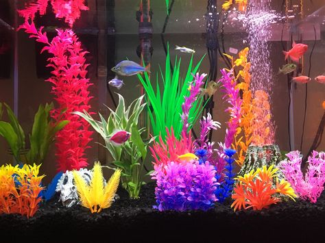 Colorful glofish tank Spongebob Fish Tank, Glofish Tank, Cool Fish Tank Decorations, Glofish Aquarium, Fish Tank Ideas, Glow Fish, Fish Aquarium Decorations, Fish Tank Themes, Goldfish Tank