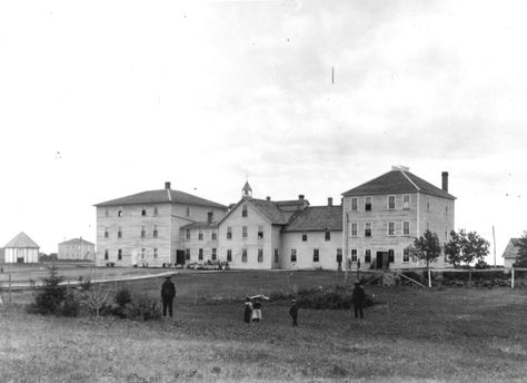 What it's like owning land being searched for residential school graves | CBC News Residential Schools Canada, Owning Land, University Of Regina, Indian Residential Schools, Residential School, School Site, Indian Horses, Community Halls, Residential Schools