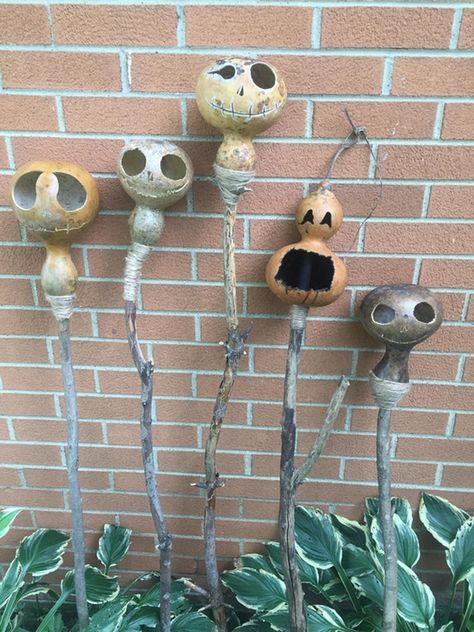 Started my Halloween gourds-on-a-stick! : halloween Gourd Snake Art, Halloween Gourds Ideas, Small Pumpkin Carving Ideas Easy, Pumpkin Carving Ideas Easy Cute, Gourd Mushroom, Small Pumpkin Carving, Small Pumpkin Carving Ideas, Pumpkin Carving Ideas Easy, Halloween Hands