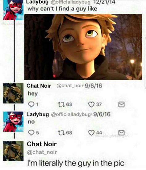 Lady Noir, Miraculous Memes, Miraculous Ladybug Chat Noir, Miraculous Ladybug Memes, Ladybug Funny, Miraculous Ladybug Fanfiction, When Things Go Wrong, Film Anime, Miraculous Ladybug Fan Art