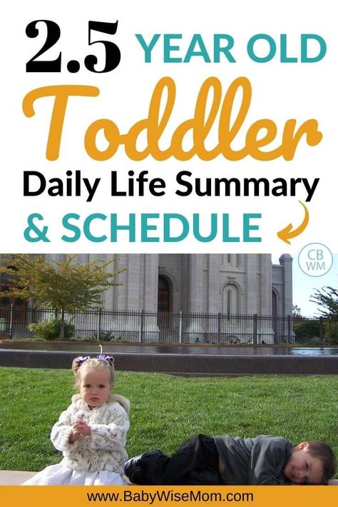 Daily life, schedule, and routine for a 2.5 year old toddler. See how the toddler sleep was going and how eating was going. Read about socializing and everything about toddler life. #toddler #toddlerschedule Life Schedule, Toddler Parenting, Indoor Activities For Toddlers, Toddler Schedule, Tantrums Toddler, Toddler Discipline, Kids Schedule, Parenting Help, Toddler Development