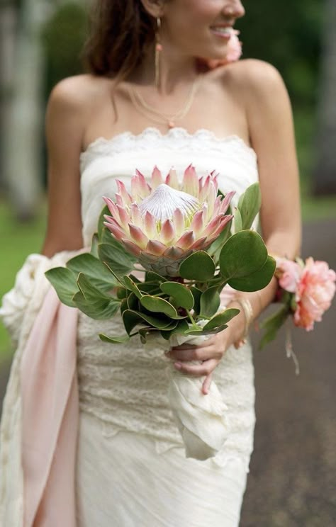 Protea Protea Bouquet Wedding, Real Wedding Flowers, Sara Donaldson, Tropical Wedding Bouquets, Protea Wedding, Protea Bouquet, Flower Boquet, Safari Wedding, Hawaii Weddings