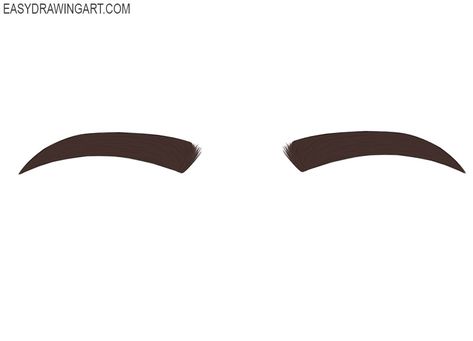 How to Draw an Eyebrow | Easy Drawing Art Realistic Eyebrow Drawing, Cartoon Eyebrows, Boys Eyebrows, Eyebrows Drawing, Eyebrow Drawing, Drawing Eyebrows, How To Draw Eyebrows, Animated Man, Basic Drawing