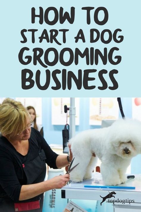 Grooming Salon Layout Ideas, Dog Grooming Business From Home, Dog Grooming Training, Grooming Dogs Salon Design, Dog Grooming 101, How To Start A Pet Grooming Business, Grooming Tips For Dogs, Starting A Grooming Business, Opening A Grooming Salon