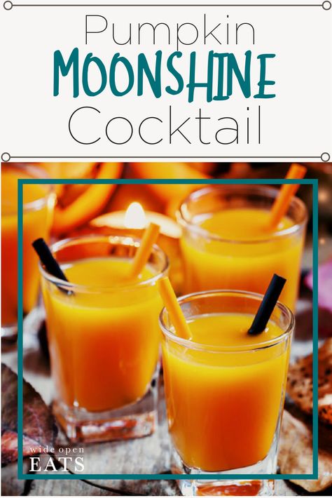 Pumpkin Spice Moonshine, Pumpkin Moonshine Recipe, Pumpkin Moonshine, Pumpkin Pie Moonshine, Ole Smoky Moonshine, Moonshine Cocktails, Moonshine Recipe, Whipped Cream Vodka, Pumpkin Pudding