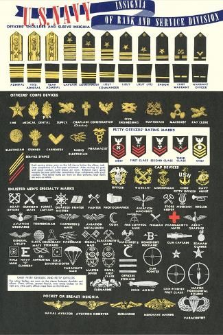 size: 18x12in Art Print: US Navy Rank and Service Insignia : Us Navy Ranks, Us Navy Themed Party, Police Drawing, Us Navy Women, Navy Insignia, Navy Ranks, Navy Badges, Army Divisions, Army Ranks