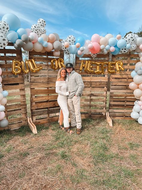 Cattle Gender Reveal Ideas, Gender Reveal Ranch Ideas, Welder Gender Reveal Ideas, Gender Reveal Ideas Farm Theme, Farming Gender Reveal Ideas, Country Gender Reveal Themes, Farm Gender Reveal Ideas For Party, Farm Themed Gender Reveal, Heifer Or Bull Gender Reveal Ideas