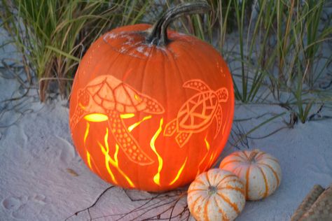 Sea Turtle Pumpkin! Turtle Pumpkin Carving, Beachy Halloween, Turtle Pumpkin, Pumpkin Martini, Diy Coastal Decor, Pumkin Carving, Pumpkin Decorating Contest, Halloween Plates, Creative Pumpkin Carving