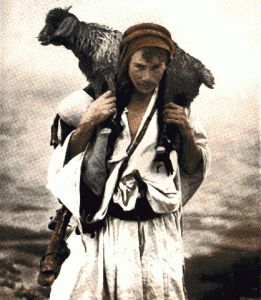 shepherd-carrying-sheep Sheep Tattoo, The Lost Sheep, The Good Shepherd, Guardian Angels, The Shepherd, Old Testament, Bethlehem, Goats, Sheep