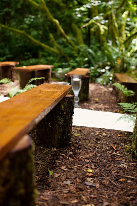 rustic wood wedding ceremony benches Rustic Purple Wedding, Wedding Bench, Rustic Wood Bench, Wood Benches, Meadow Wedding, Wooden Benches, Diy Bench Outdoor, Big Backyard, Spring Meadow