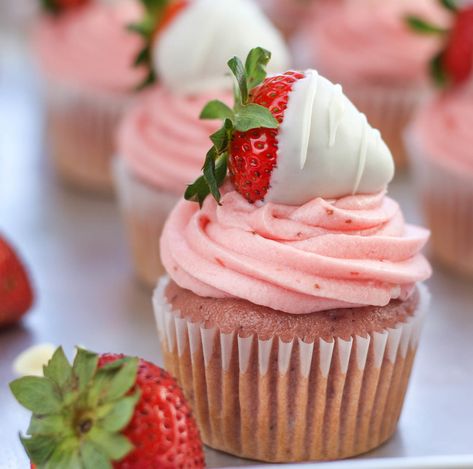 Strawberry cupcakes with strawberry cream cheese frosting, topped with chocolate-covered strawberries Strawberry Cupcakes Decoration, Pandan Waffles, Vicky Pham, Candied Strawberries, Savory Cupcakes, Faux Desserts, Moist Vanilla Cupcakes, Home Cooking Recipes, Cinnamon Cupcakes