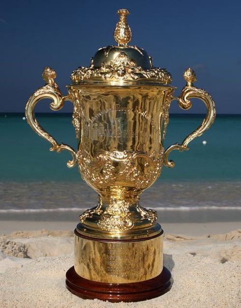 Rugby Union World Cup Nz All Blacks, English Rugby, Springbok Rugby, Sports Trophies, Welsh Rugby, Australian Football, England Rugby, Rugby Men, Rugby Team