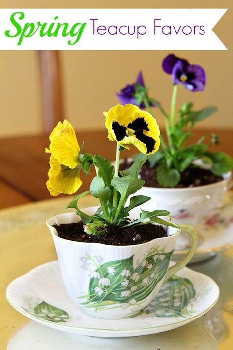 Gardening Table, Gardening Videos, Teacup Gardens, Spring Table Decor, Table Favors, Spring Tea, Diy Mothers Day Gifts, Spring Table, Décor Diy