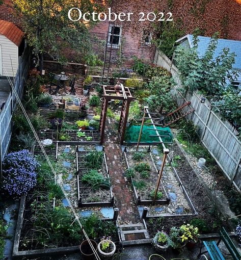 Kathy’s Urban Garden - FineGardening Front Yard Vegetable Garden, Yard Vegetable Garden, Kalmia Latifolia, Tomato Trellis, Bigleaf Hydrangea, Urban Gardens, Small Front Yard, Native Plant Gardening, Crabapple Tree