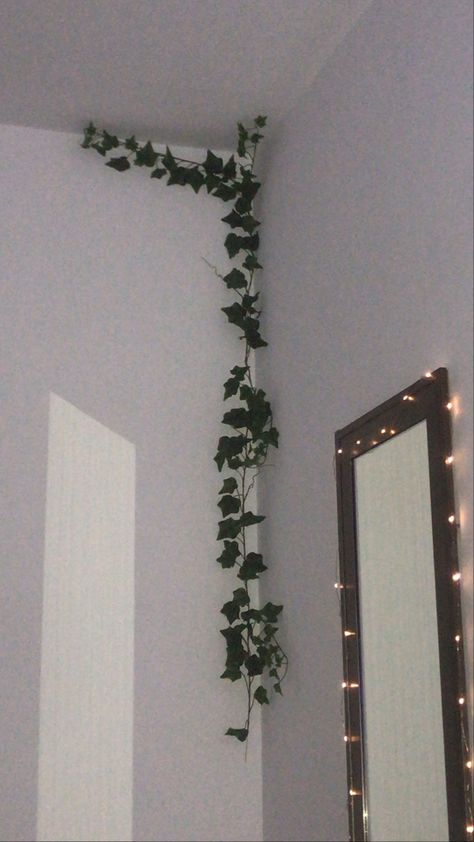 room decor // plants // mirror Room Decor Plants, Decor Plants, Room Decor, Mirror, Plants