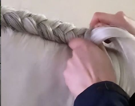 Today's reader photo challenge was all about braiding, so today's video is all about braiding. We sense a theme here... Hunter Horse Braids, How To Braid Horse Hair, Horse Mane Braids Dressage, Running Braid Horse, Horsehair Braid Hem, Photo Challenge, Equestrian, Braids, Sense