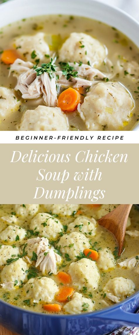 Image for Delicious Chicken Soup with Dumplings Leftover Chicken And Dumplings Recipes, Easy Drop Dumplings For Soup, Quick Dumplings For Soup, Mini Dumpling Soup, Chicken Noodle Soup And Dumplings, Dumpling Chicken Soup, Homemade Chicken Dumpling Soup, Healthy Chicken Dumpling Soup, Chicken Soup Dumplings Recipe