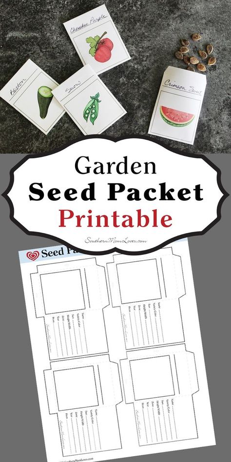 Now is the time when gardens are winding down, and if you use heirloom seeds, you're probably drying out your seed for next year's garden. Instead of storing them in baggies, jars, or in folded slips of paper, you can get organized with these (free!) printable seed packets. Seed Organization, Garden Seeds Packets, Landscaped Garden, Seed Storage, Spring Fair, French Country Garden, Garden Planner, Vantage Point, Seed Saving