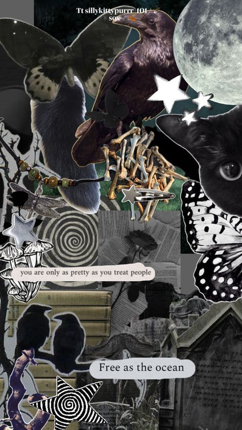 Crow Wallpapers Aesthetic, Raven Moodboard, Ravens Astethic, Raven Bird Aesthetic, Raven Collage, Crows Ravens, Treat People, Collage, 10 Things