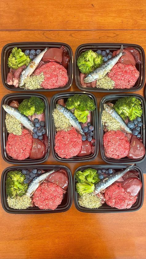 Meals For Puppies, Puppy Meal Prep, Ground Beef Recipes For Dogs, Raw Dog Food Meal Prep, Dog Meals Recipes, 1 Week Meal Prep, Dog Meal Prep, Meal Prep For Dogs, Dog Food Meal Prep