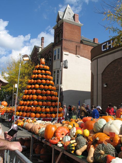 Circleville, OH  - Circleville Pumpkin Show 2013 Circleville Pumpkin Show, Pumpkin Show, Pumpkin Pie, Life Is Good, Pie