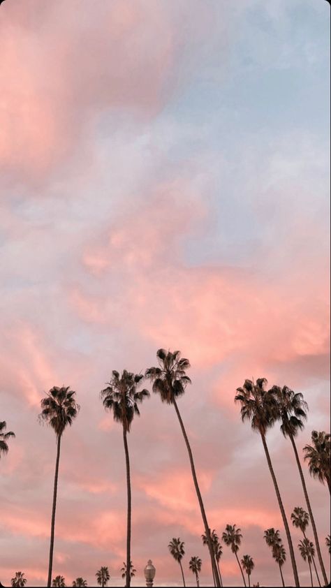 Nice Scenery, Flower Aesthetics, Pastel Beach, Coconut Trees, Wallpaper Photos, Iphone Backgrounds, Iphone Wallpaper Photos, Pink Sunset, California Dreaming