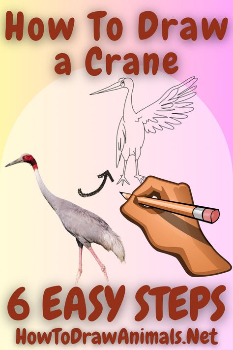 easy six step drawing guide for a crane Crane Drawing, Sketching Skills, Art Of Drawing, Easy Drawing Tutorial, Crane Bird, Drawing Tutorial Easy, Easy Drawing, Bird Drawings, Tutorial Video