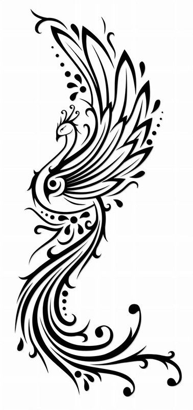 Tato Phoenix, Drawing Wolf, Phoenix Bird Tattoos, Phönix Tattoo, Peacock Tattoo, Phoenix Tattoo Design, Drawing Tattoo, Phoenix Bird, Phoenix Tattoo