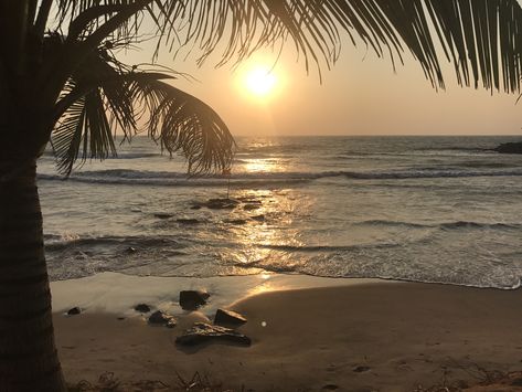 Gold Sunset, Beach Palm Trees, Moodboard Aesthetic, Pretty Landscapes, Summer Feeling, Summer Dream, Summer Breeze, Beach Aesthetic, Nature Aesthetic