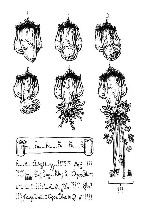 Organs Drawing Reference, How To Draw Organs, Genital Anatomy Drawing, Organs Drawing, Organs Art, Male Fairy, Weird Art, Gay Art, Male Art