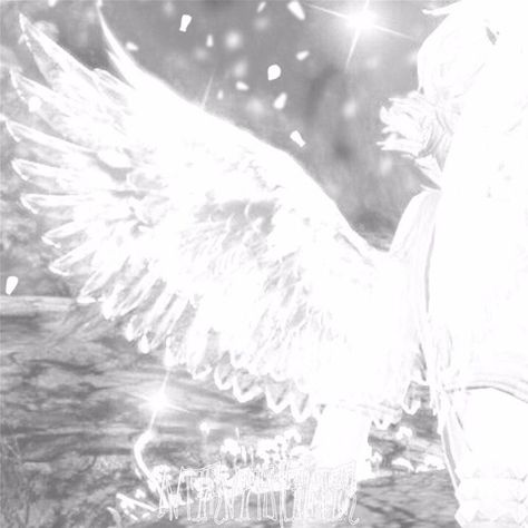 An Angel, A Black, We Heart It, Angel, Black And White, Water, White, Black