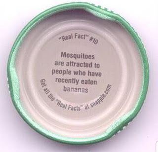 Banana Facts, Snapple Facts, Useless Knowledge, What The Fact, Lunch Notes, Learn Something New Everyday, The Little Things In Life, Wow Facts, Little Things In Life