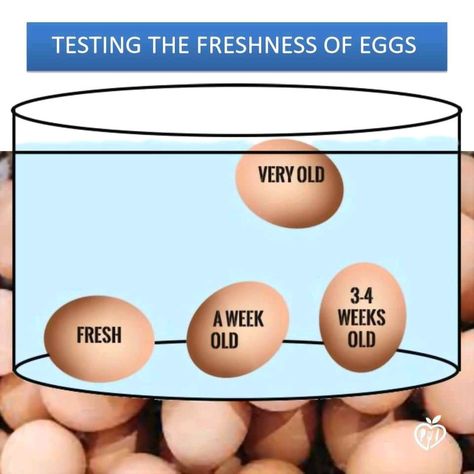 Veterinarian To Be Floating Eggs, Velvet Cake Recipes, Homemaking Tips, Emergency Food, Cooking Guide, Food Info, Egg Dish, Floating In Water, Water Bowl