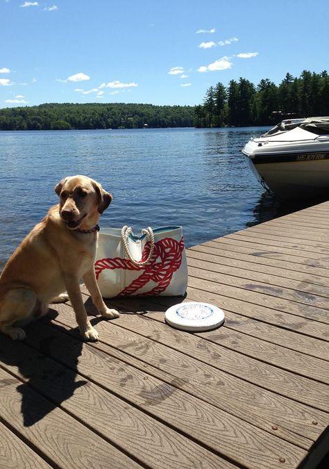 Ready for a day at the lake! #seabags #madeinmaine Sail Cloth, Day At The Lake, Recycled Sailcloth, Sail Bag, Maine Living, American Summer, Sea Bags, At The Lake, Summer 24