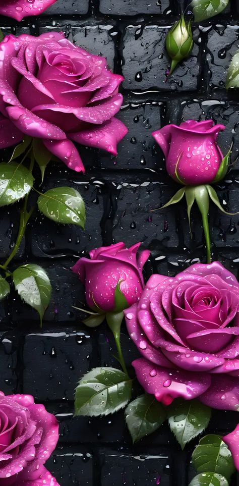 Wet Flowers, Android Backgrounds, 3d Wallpaper Cute, Clip Art Frames Borders, Pink Wallpapers, Flower Wallpapers, Floral Wallpaper Phone, Abstract Art Wallpaper, Plant Aesthetic