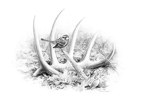 Originals Print ﻿s Deer Antler Drawing, Hunting Sketch, Antler Drawing, Hunting Drawings, Antler Tattoos, Antler Tattoo, Drawing Leaves, Deer Tattoo Designs, Deer Sketch